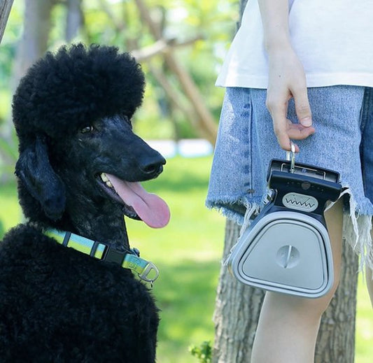 PoopScoop™ | Une solution rapide et hygiénique, sans les mains sales.