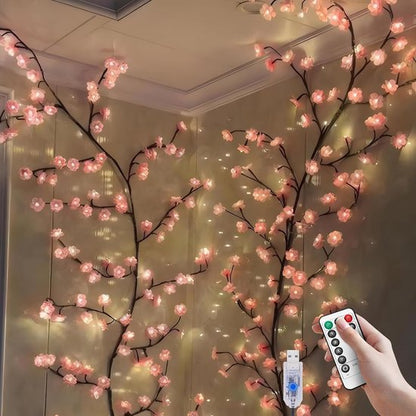 BlossomLight™ | L’éclairage d’ambiance pour chaque pièce.