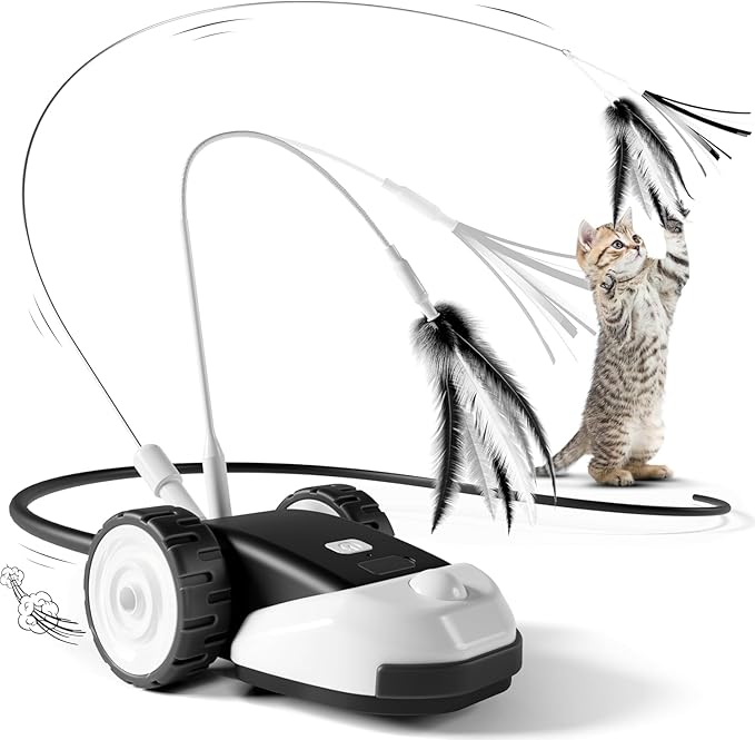 CatMouse™ | Il joue tout seul pendant votre absence.