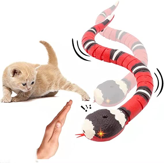 CatWave™ | La solution idéale pour les chats actifs