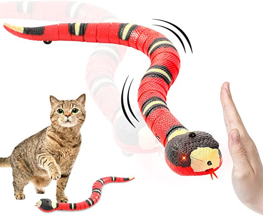 CatWave™ | La solution idéale pour les chats actifs