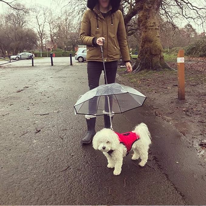 DogPlu™ | La solution idéale pour les promenades sous la pluie.