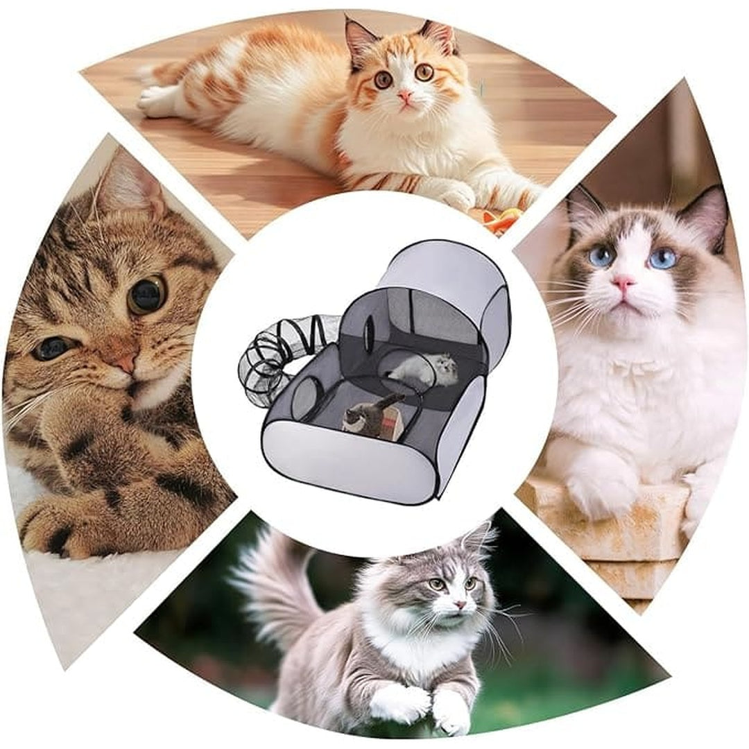 CatTent™ | L’espace de jeu et de détente ultime pour votre chat.