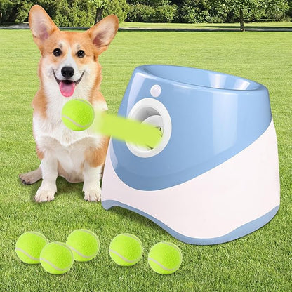 DogLaunch™ | Là où plaisir et développement se rencontrent.