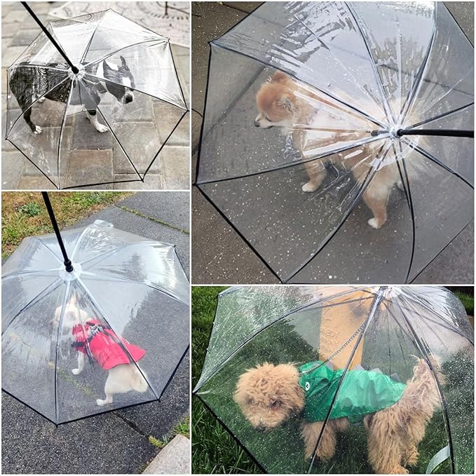 DogPlu™ | La solution idéale pour les promenades sous la pluie.