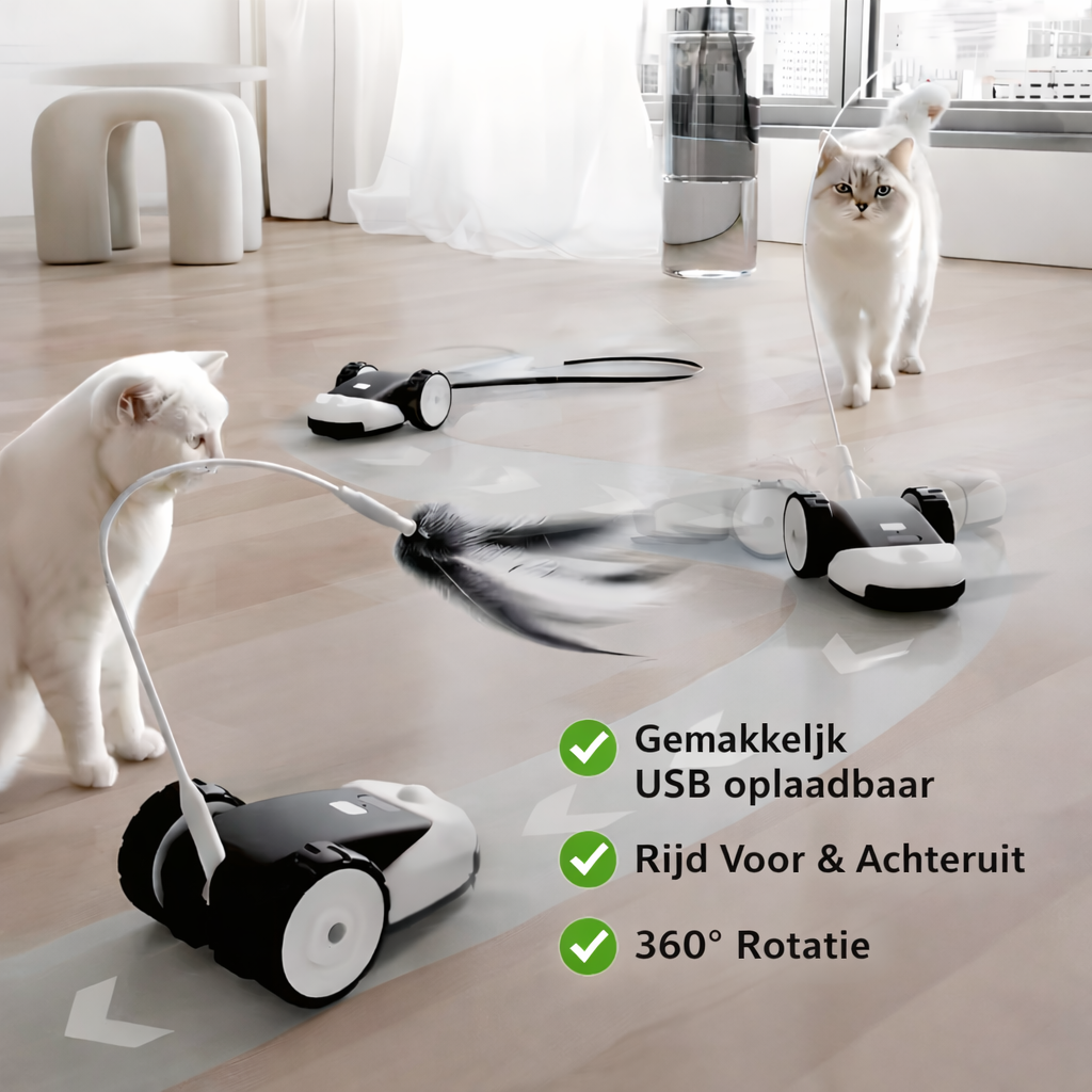 CatMouse™ | Il joue tout seul pendant votre absence.