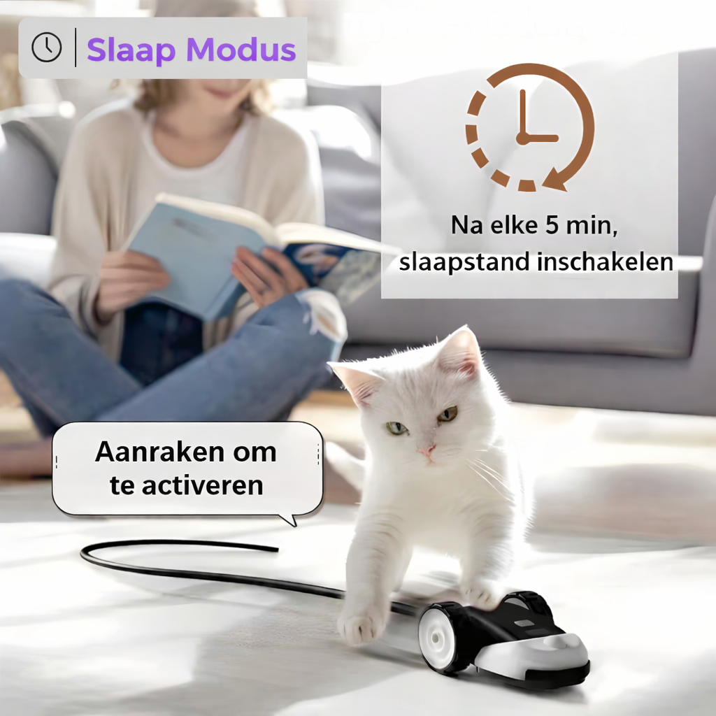 CatMouse™ | Il joue tout seul pendant votre absence.