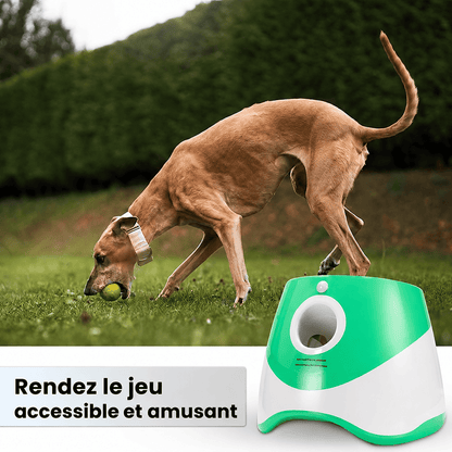DogLaunch™ | Là où plaisir et développement se rencontrent.
