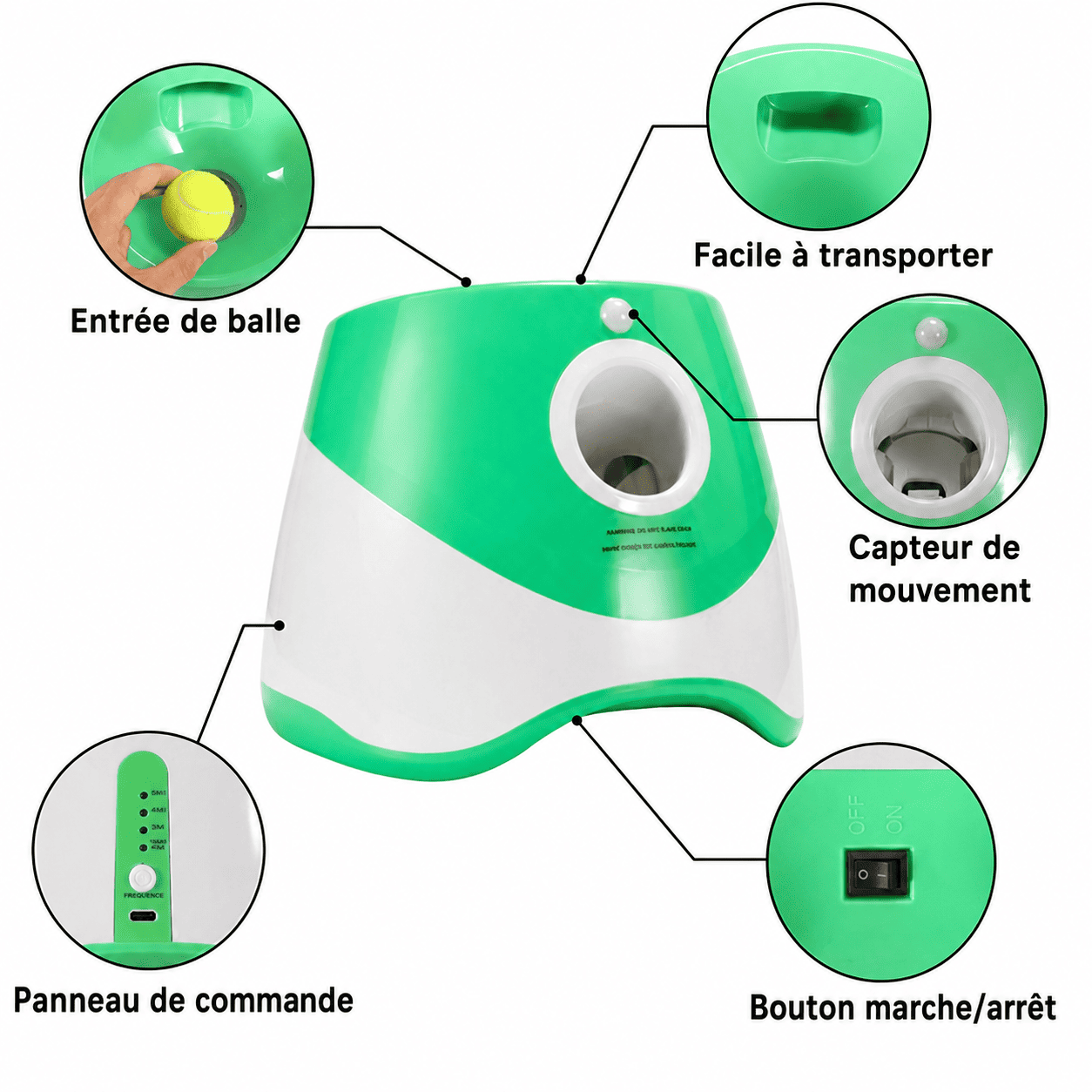 DogLaunch™ | Là où plaisir et développement se rencontrent.