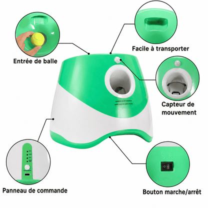 DogLaunch™ | Là où plaisir et développement se rencontrent.