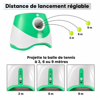 DogLaunch™ | Là où plaisir et développement se rencontrent.