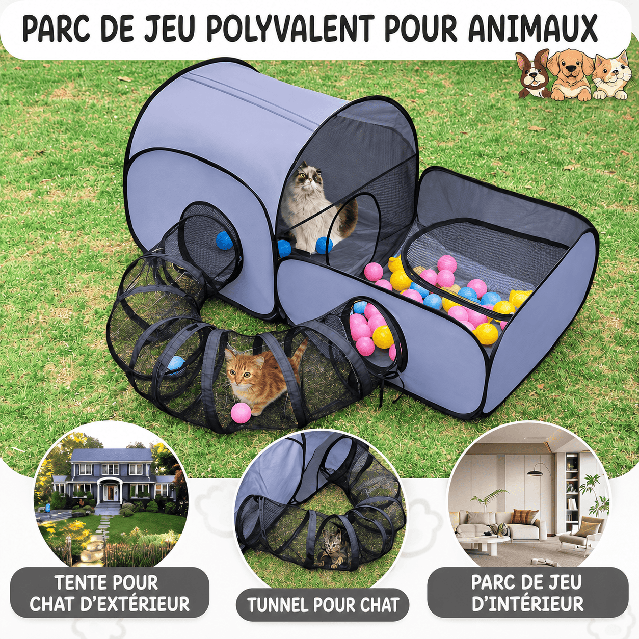 CatTent™ | L’espace de jeu et de détente ultime pour votre chat.