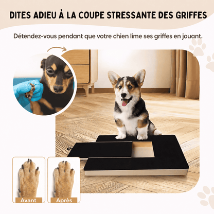 PlayTrim™ | La solution intelligente contre les griffes trop longues de votre chien.