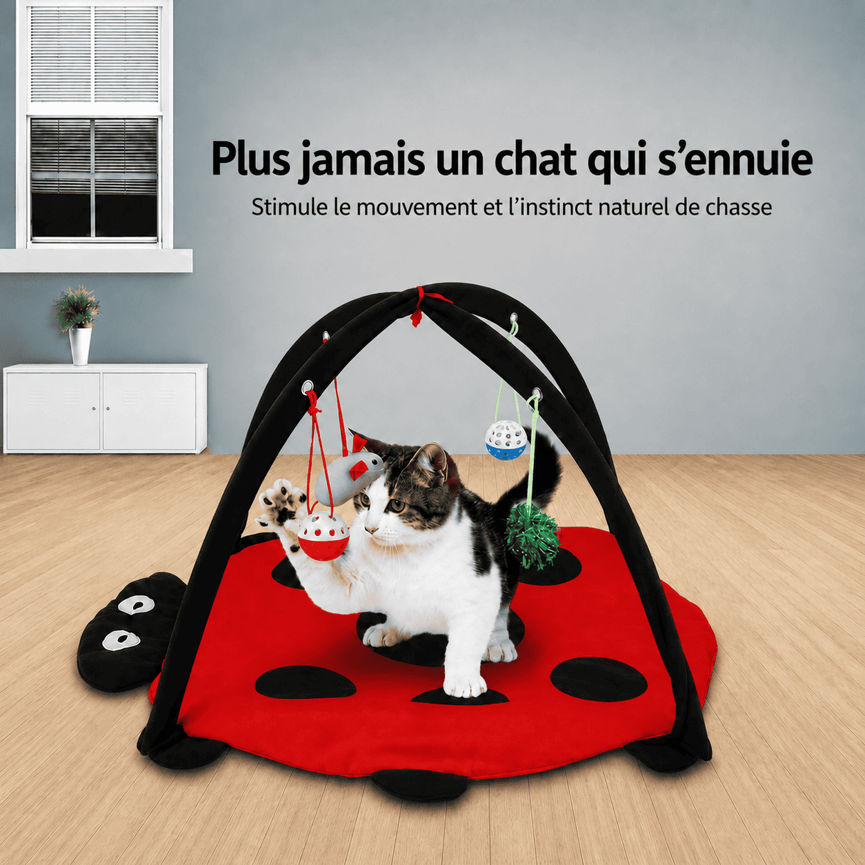 MeowBug™ | Jouer, sauter et se détendre en un seul espace.