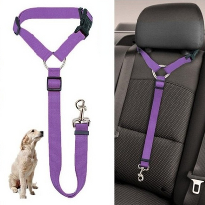 DogBelt™ | Toujours en sécurité avec votre compagnon à quatre pattes !