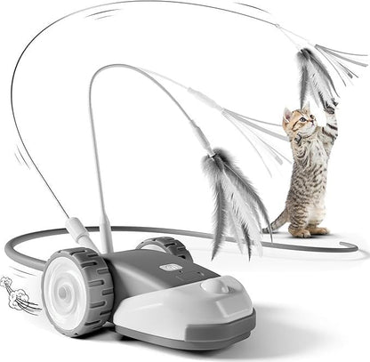 CatMouse™ | Il joue tout seul pendant votre absence.