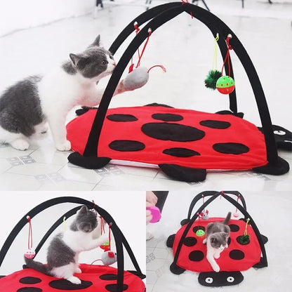 MeowBug™ | Jouer, sauter et se détendre en un seul espace.