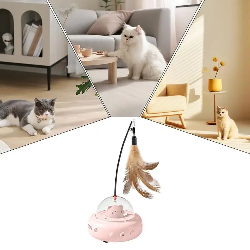 Catkomeet™ | Le jouet pour animaux qui stimule la poursuite et la chasse !