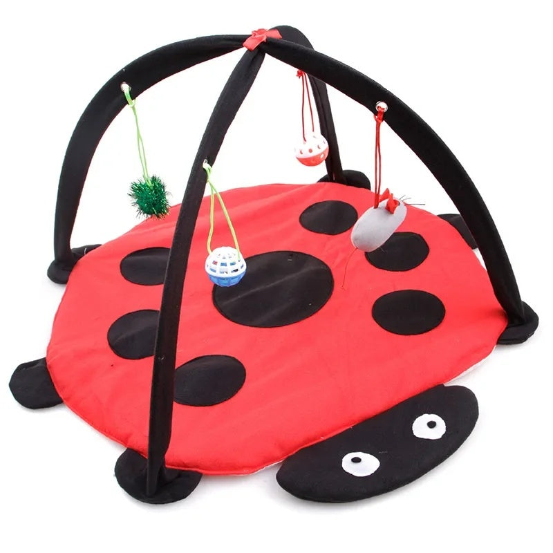 MeowBug™ | Jouer, sauter et se détendre en un seul espace.