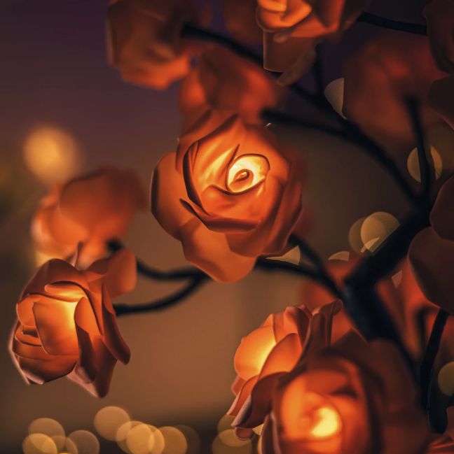 Rozyled™ | Roses uniques et lumière LED réunies !