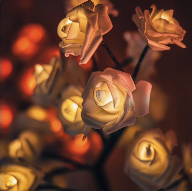 Rozyled™ | Roses uniques et lumière LED réunies !