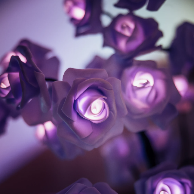 Rozyled™ | Roses uniques et lumière LED réunies !