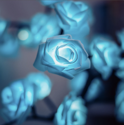Rozyled™ | Roses uniques et lumière LED réunies !
