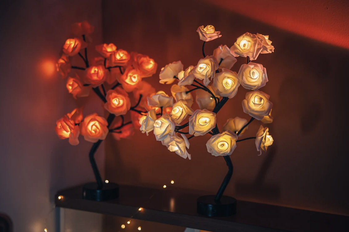 Rozyled™ | Roses uniques et lumière LED réunies !