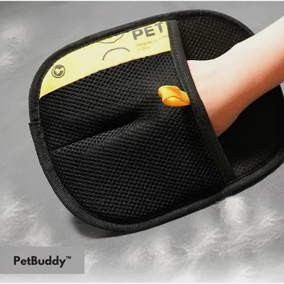 PetBuddy™ | La solution pour un intérieur propre et sans poils.