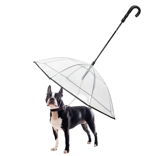 DogPlu™ | La solution idéale pour les promenades sous la pluie.