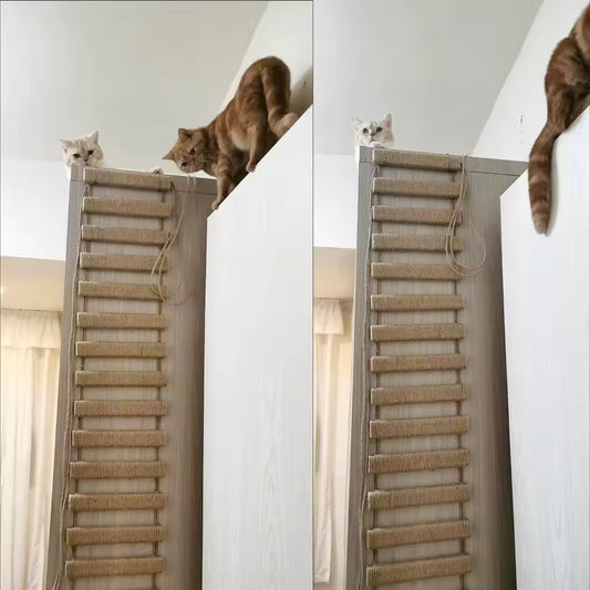 CatTrap™ | Offrez à votre chat un plaisir d’escalade sans fin.