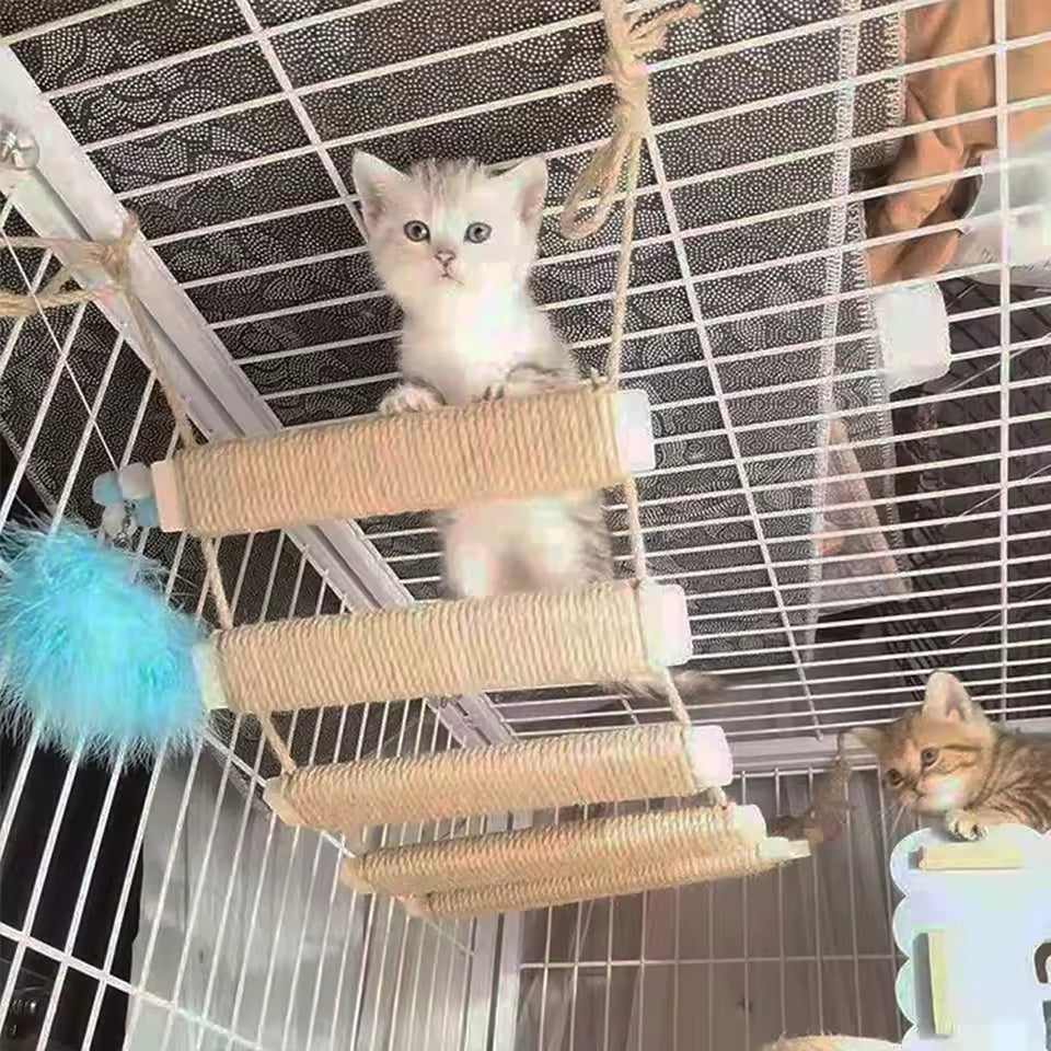 CatTrap™ | Offrez à votre chat un plaisir d’escalade sans fin.