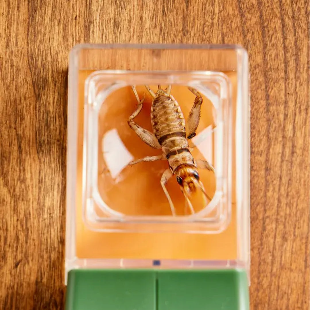 QuickCatch™ | Éloignez les insectes sans difficulté.