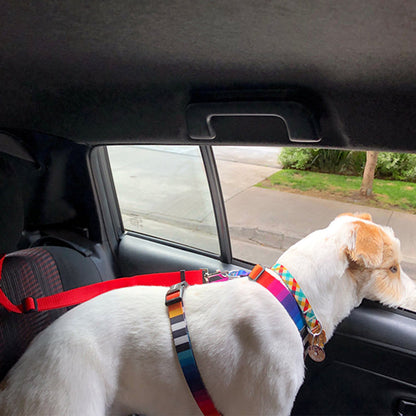 DogBelt™ | Toujours en sécurité avec votre compagnon à quatre pattes !