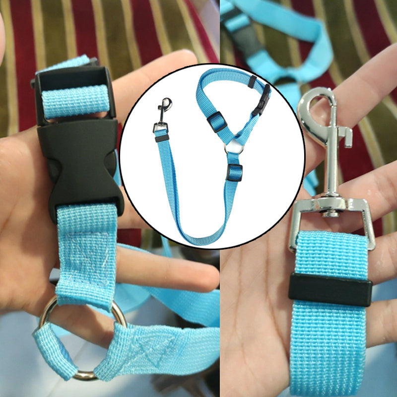 DogBelt™ | Toujours en sécurité avec votre compagnon à quatre pattes !