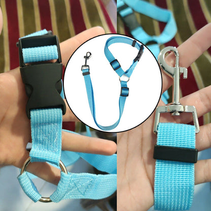 DogBelt™ | Toujours en sécurité avec votre compagnon à quatre pattes !