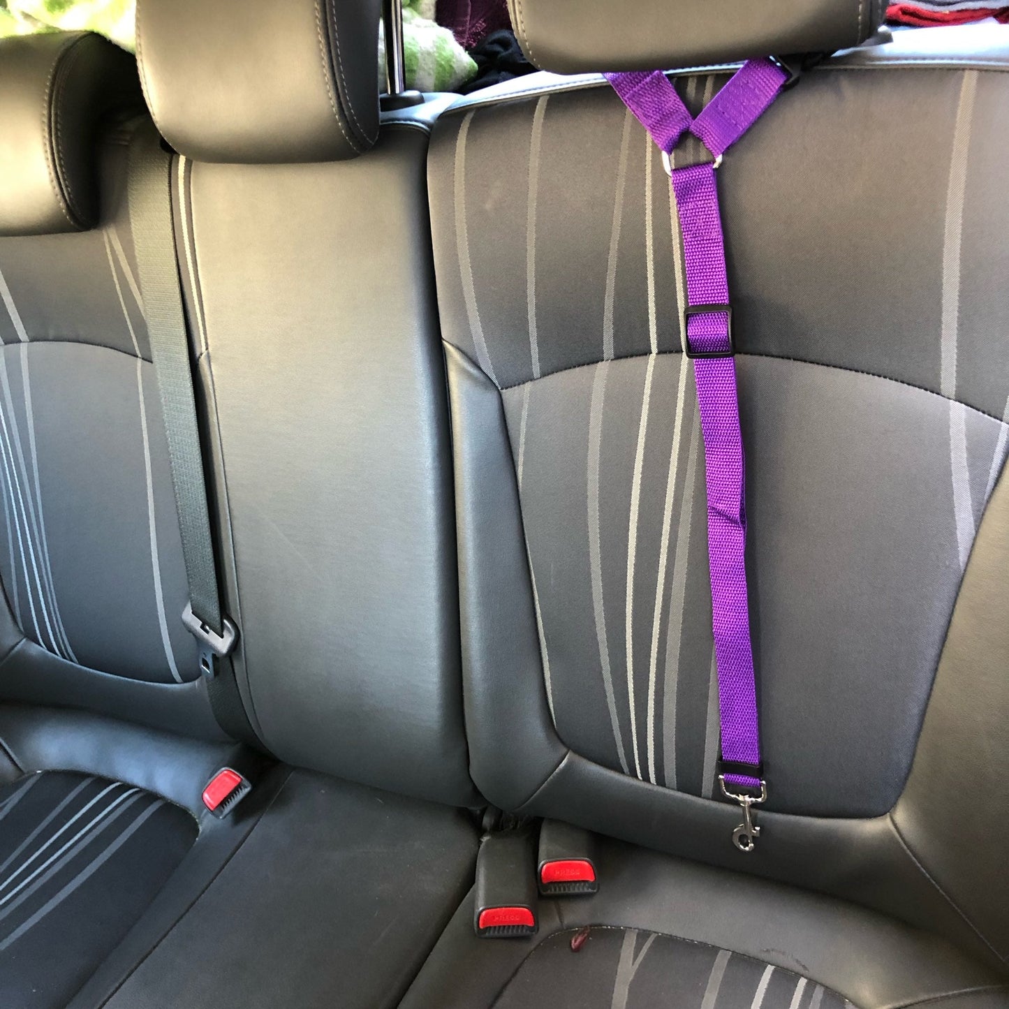 DogBelt™ | Toujours en sécurité avec votre compagnon à quatre pattes !