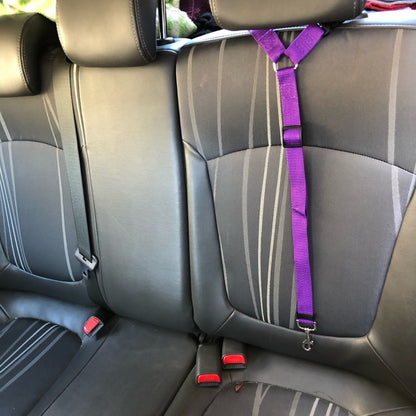 DogBelt™ | Toujours en sécurité avec votre compagnon à quatre pattes !