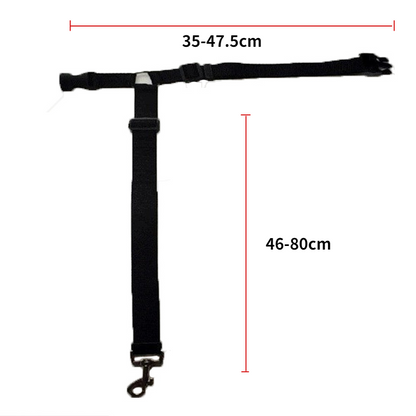 DogBelt™ | Toujours en sécurité avec votre compagnon à quatre pattes !