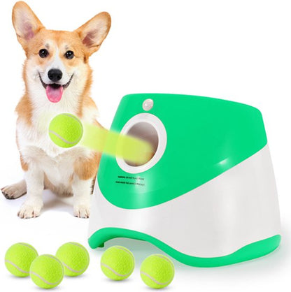 DogLaunch™ | Là où plaisir et développement se rencontrent.